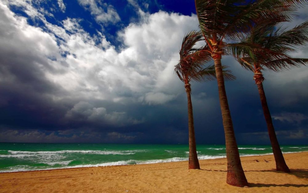 sea-ocean-sky-cloud-wind-storm-palm